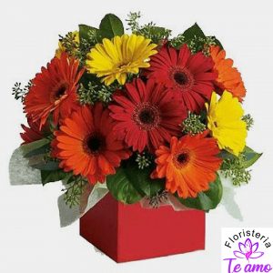 Centro de mesa con garberas en cali