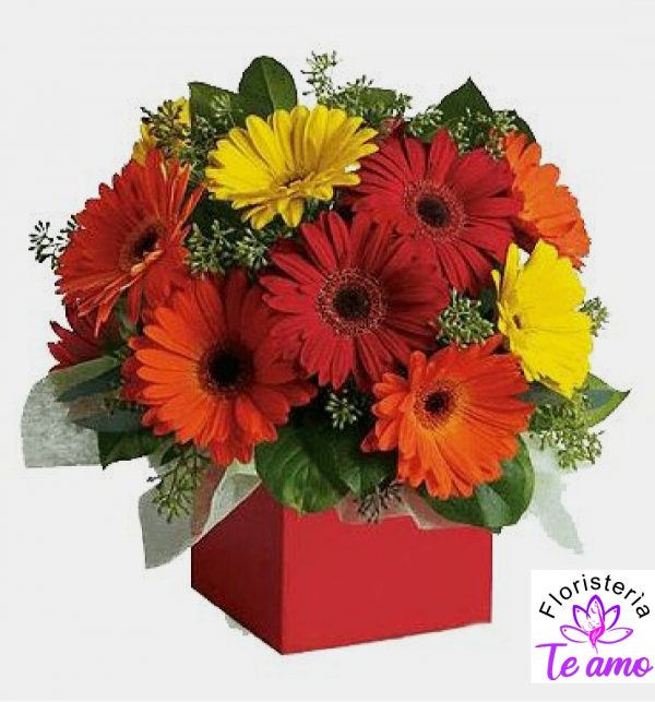 Centro de mesa con garberas en cali