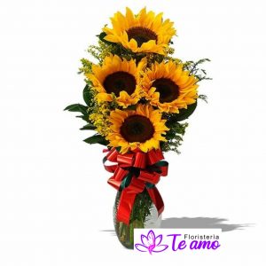 Florero de Girasoles en Cali